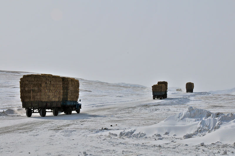 Mongolia